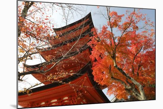 Five-Storey Pagoda (Gojunoto) in Autumn, Miyajima Island, Western Honshu, Japan-Stuart Black-Mounted Photographic Print