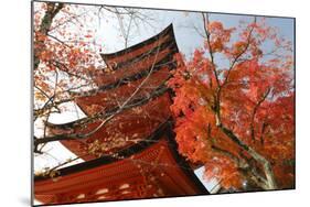 Five-Storey Pagoda (Gojunoto) in Autumn, Miyajima Island, Western Honshu, Japan-Stuart Black-Mounted Photographic Print