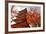 Five-Storey Pagoda (Gojunoto) in Autumn, Miyajima Island, Western Honshu, Japan-Stuart Black-Framed Photographic Print