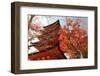 Five-Storey Pagoda (Gojunoto) in Autumn, Miyajima Island, Western Honshu, Japan-Stuart Black-Framed Photographic Print