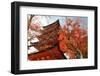 Five-Storey Pagoda (Gojunoto) in Autumn, Miyajima Island, Western Honshu, Japan-Stuart Black-Framed Photographic Print