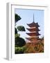 Five Storey Pagoda, Miyajima, Japan-Charles Bowman-Framed Photographic Print