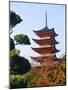 Five Storey Pagoda, Miyajima, Japan-Charles Bowman-Mounted Photographic Print