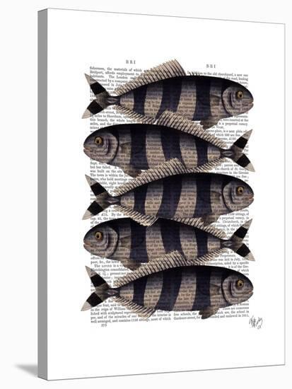 Five Striped Fish-Fab Funky-Stretched Canvas