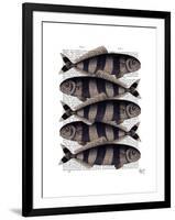 Five Striped Fish-Fab Funky-Framed Art Print