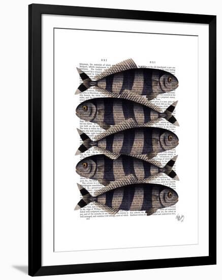 Five Striped Fish-Fab Funky-Framed Art Print