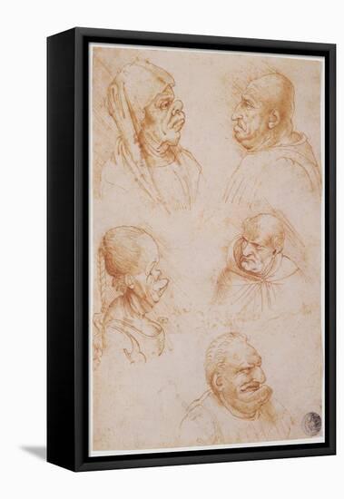 Five Studies of Grotesque Faces-Leonardo da Vinci-Framed Stretched Canvas