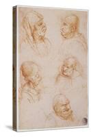 Five Studies of Grotesque Faces-Leonardo da Vinci-Stretched Canvas