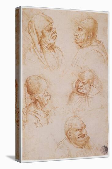 Five Studies of Grotesque Faces-Leonardo da Vinci-Stretched Canvas