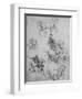 'Five Studies of Horses and Riders', c1480 (1945)-Leonardo Da Vinci-Framed Giclee Print