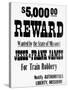 Five Thousand Dollar Reward Sign for Jesse and Frank James-null-Stretched Canvas