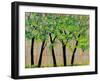 Five Trees in a Grove-Blenda Tyvoll-Framed Art Print