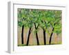 Five Trees in a Grove-Blenda Tyvoll-Framed Art Print