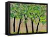 Five Trees in a Grove-Blenda Tyvoll-Framed Stretched Canvas