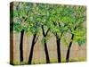 Five Trees in a Grove-Blenda Tyvoll-Stretched Canvas