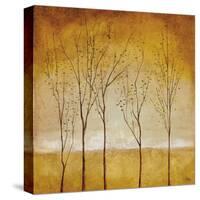 Five Trees-Williams-Stretched Canvas