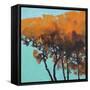 Five Trees-Paul Bailey-Framed Stretched Canvas