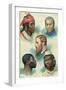 Five Types of the Human Race, Late 19th Century-null-Framed Giclee Print