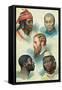 Five Types of the Human Race, Late 19th Century-null-Framed Stretched Canvas