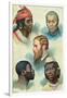 Five Types of the Human Race, Late 19th Century-null-Framed Giclee Print