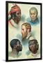 Five Types of the Human Race, Late 19th Century-null-Framed Giclee Print