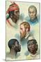 Five Types of the Human Race, Late 19th Century-null-Mounted Giclee Print