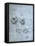 Five Views of a Foetus in the Womb, Facsimile Copy-Leonardo da Vinci-Framed Stretched Canvas