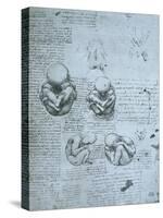 Five Views of a Foetus in the Womb, Facsimile Copy-Leonardo da Vinci-Stretched Canvas