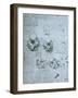 Five Views of a Foetus in the Womb, Facsimile Copy-Leonardo da Vinci-Framed Giclee Print