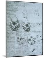 Five Views of a Foetus in the Womb, Facsimile Copy-Leonardo da Vinci-Mounted Giclee Print