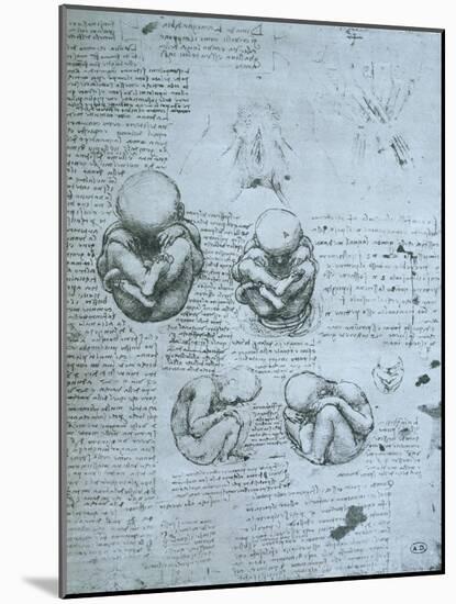 Five Views of a Foetus in the Womb, Facsimile Copy-Leonardo da Vinci-Mounted Giclee Print