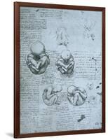 Five Views of a Foetus in the Womb, Facsimile Copy-Leonardo da Vinci-Framed Giclee Print