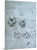 Five Views of a Foetus in the Womb, Facsimile Copy-Leonardo da Vinci-Mounted Giclee Print