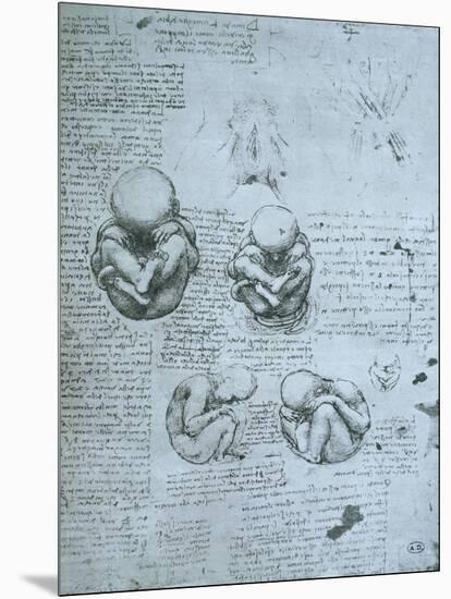 Five Views of a Foetus in the Womb, Facsimile Copy-Leonardo da Vinci-Mounted Giclee Print