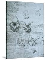 Five Views of a Foetus in the Womb, Facsimile Copy-Leonardo da Vinci-Stretched Canvas