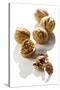 Five Walnuts, Opened and Unopened, on White Background-Kröger and Gross-Stretched Canvas