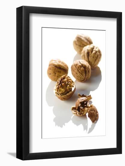 Five Walnuts, Opened and Unopened, on White Background-Kröger and Gross-Framed Photographic Print