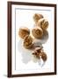 Five Walnuts, Opened and Unopened, on White Background-Kröger and Gross-Framed Photographic Print