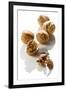 Five Walnuts, Opened and Unopened, on White Background-Kröger and Gross-Framed Photographic Print