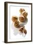 Five Walnuts, Opened and Unopened, on White Background-Kröger and Gross-Framed Photographic Print