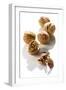 Five Walnuts, Opened and Unopened, on White Background-Kröger and Gross-Framed Photographic Print