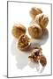 Five Walnuts, Opened and Unopened, on White Background-Kröger and Gross-Mounted Photographic Print