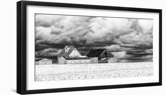 Five White Barns-Trent Foltz-Framed Art Print