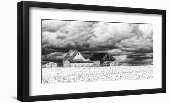 Five White Barns-Trent Foltz-Framed Giclee Print