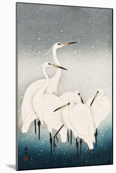 Five White Herons Standing in Water; Snow Falling-Koson Ohara-Mounted Giclee Print