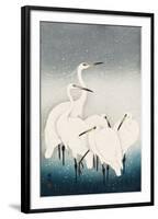 Five White Herons Standing in Water; Snow Falling-Koson Ohara-Framed Giclee Print