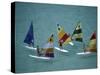 Five Windsurfers-null-Stretched Canvas