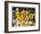 Five Yellow Nudes on the Water; Funf Gelbe Akte Am Wasser (Karsch 156A), 1921-Otto Muller or Mueller-Framed Giclee Print