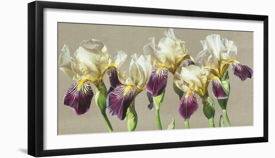 Five-Sarah Caswell-Framed Giclee Print