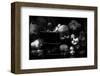 Fixed Gaze-null-Framed Art Print